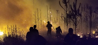 Wildfire Update: Ruiterbos
