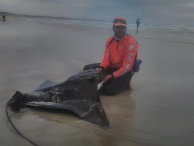 Heunis buit 1ste plek met skeurtandhaai