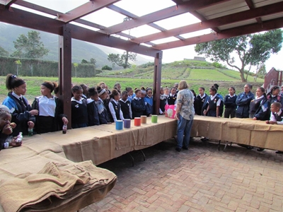 Chock-a-block Science Week awaits