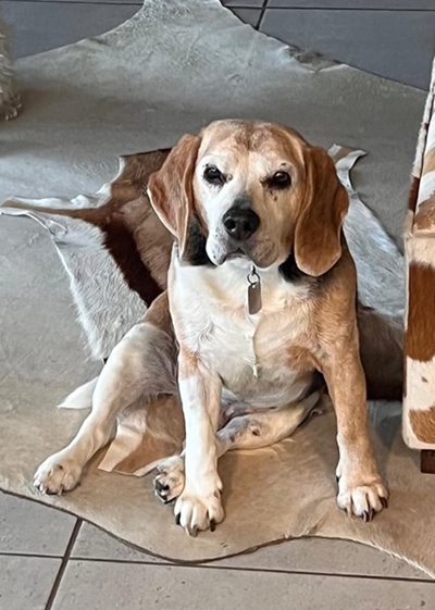 Please help to find Eddy