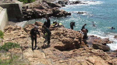 Update: Help monitor our reefs