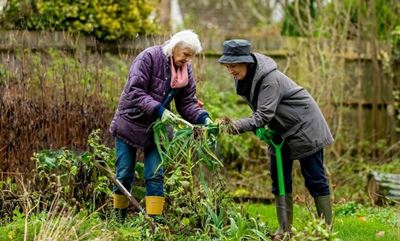 How to grow a delicious food garden