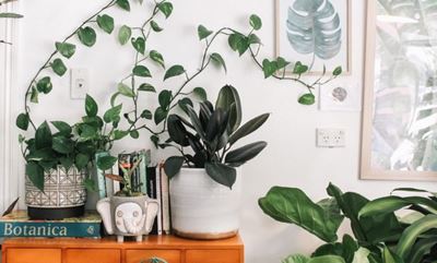 Nine quick ways to refresh your decor on a budget