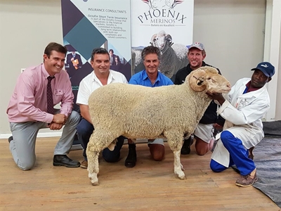 Top-price merino ram sells for R17 000