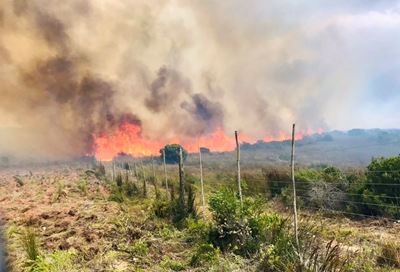 Weather alert: Extreme fire danger