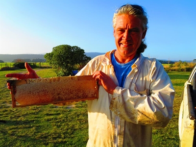 Deadly sting to bee industry
