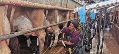 'n Boer maak 'n plan, maar uitdagings groot