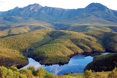 Nuwe bewarea in Eden