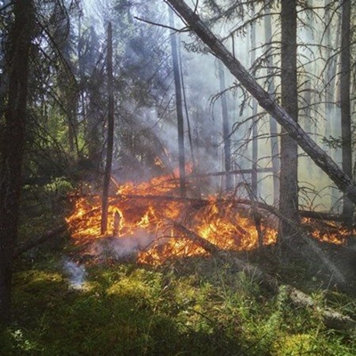 Report fire and smoke on sight