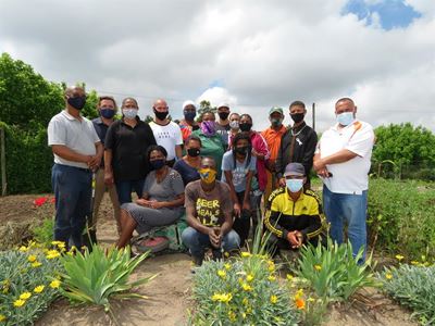 Urban food gardens take root again