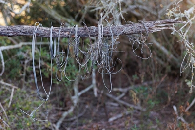 Patrollers find sewage and snares