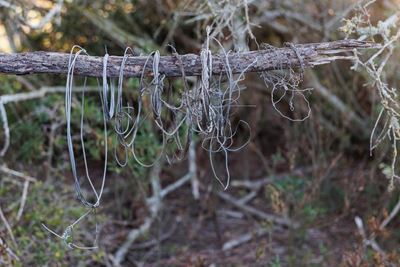 Patrollers find sewage and snares