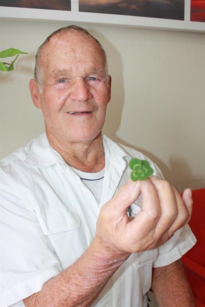 Five-leaf clover the real McCoy