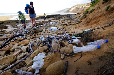 'Stop destroying marine life'