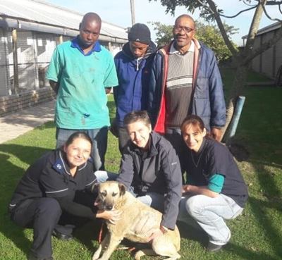 Dog survives rubber bullets