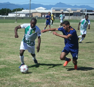 Oriented Birds falter in Kwano