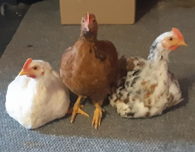 Jy mag nie self slag en verkoop nie