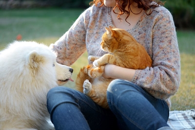 The data is in: Caring for a pet is good for your health