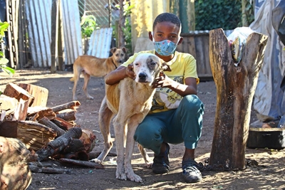 Animals in need during lockdown