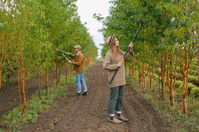 Programme to assist KZN small-scale farmers to become sustainable commercial businesses
