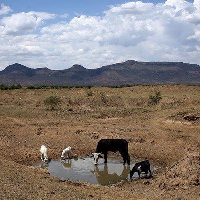 Organised agriculture’s wish list for 2019/2020 budget speech