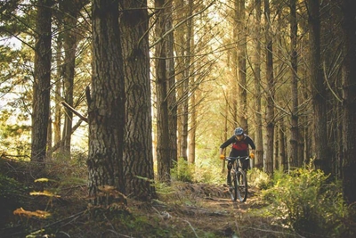 Hillbillies Mountain Bike Club