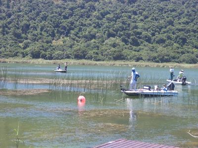 Stoep Dogs win bass classic