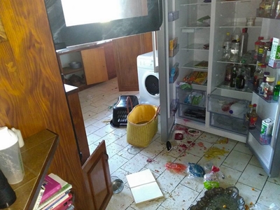 Bobbejane doen hulle slegte naam gestand