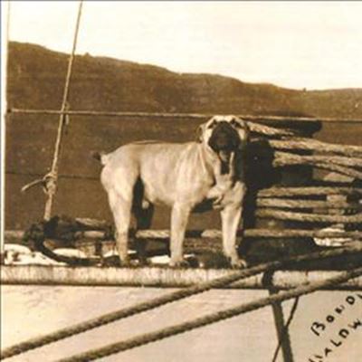 Celebrate naval mascot's life