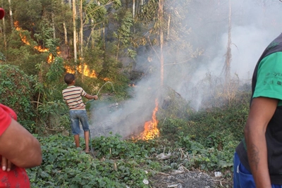 Busy day for fire brigade