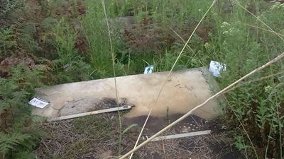 Vandals destroy trail signs