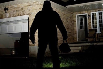 Thieves escape with meat