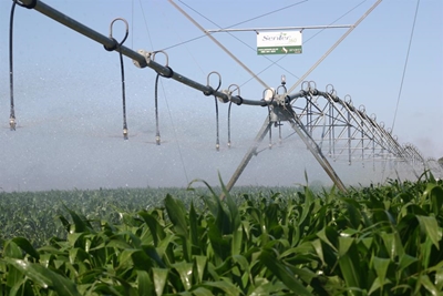 Alien plants influence economy