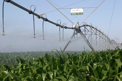 Alien plants influence economy