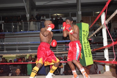 Big boxing tournament this weekend