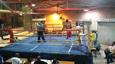 Four knock-outs in six fights