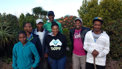 Tree lovers appreciate rehabilitation efforts