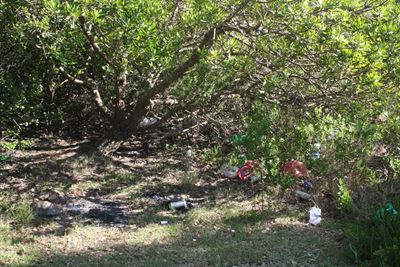 Green Hole a dumping site 'the morning after'