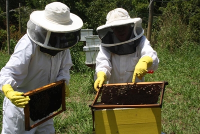Beekeeper donates prize money