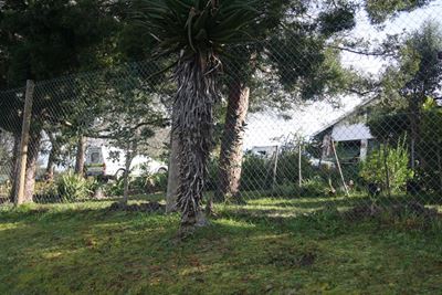Hunters Home murders: 1 more questioned