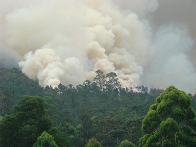 Wild-fire warning to George land owners