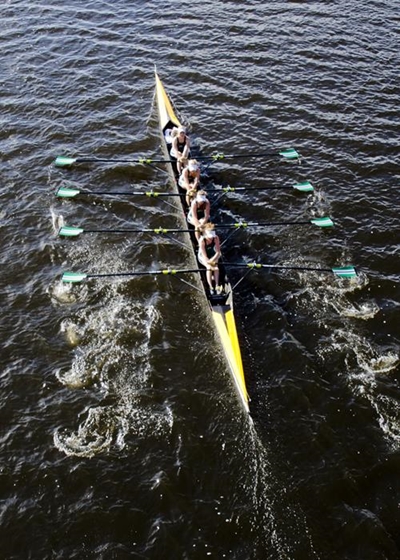 Classic rowing in Knysna