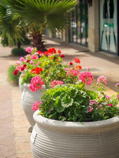 Ten flower pots needed to reach Long Street