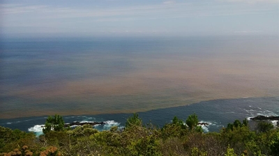 Garden Route declared red tide area