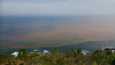 Garden Route declared red tide area