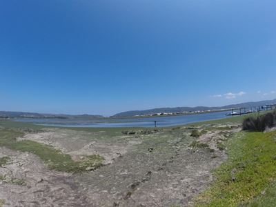 Sea lettuce is not pollution