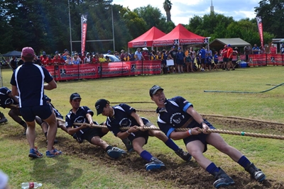 Groot toutrekdag op Oudtshoorn