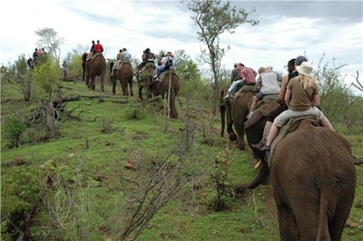 Soak up the majesty of Vic Falls...
