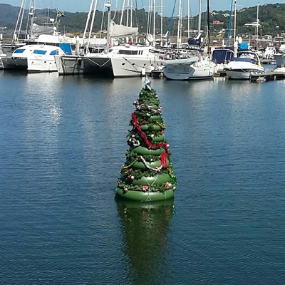 Stolen floating Christmas tree back