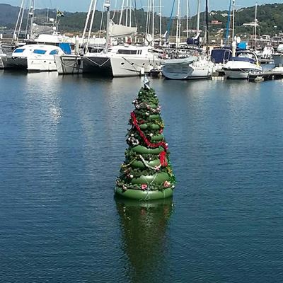 Stolen floating Christmas tree back